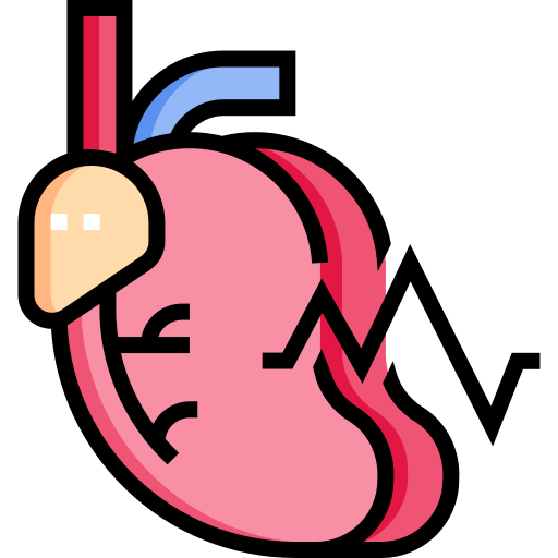 Cardiology