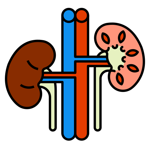 Kidney Function Tests