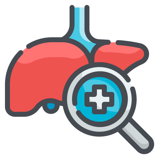 Liver Function Test