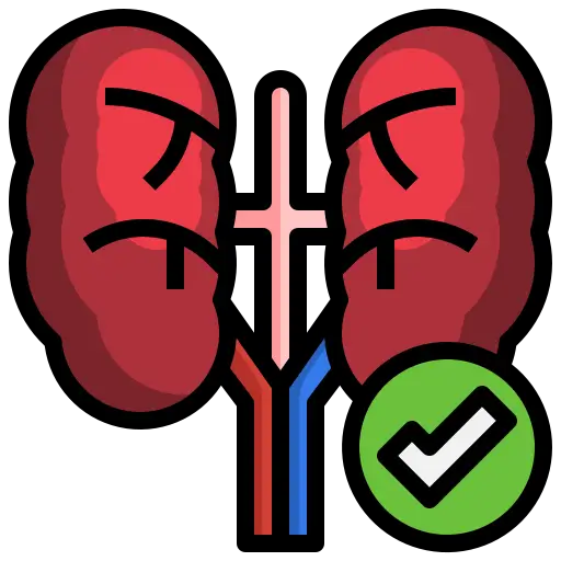 Renal Function Test