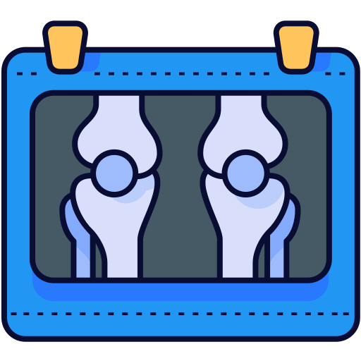 X-Rays